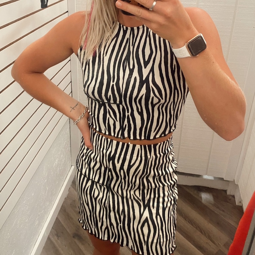 Zebra Set
